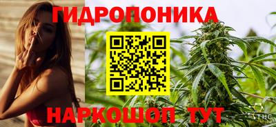 дмт Гатчина
