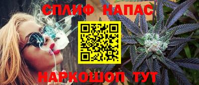 дмт Гатчина
