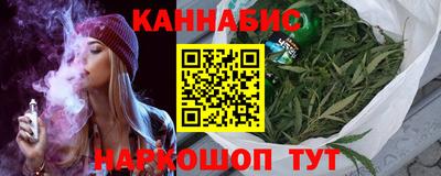 дмт Гатчина