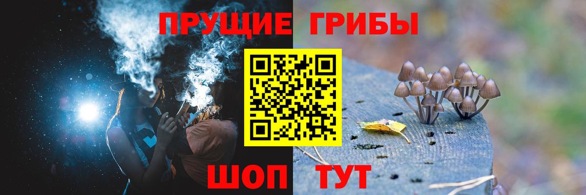 цена наркотик  Галлюциногенные грибы мицелий  Вход с VPN  Вольск 